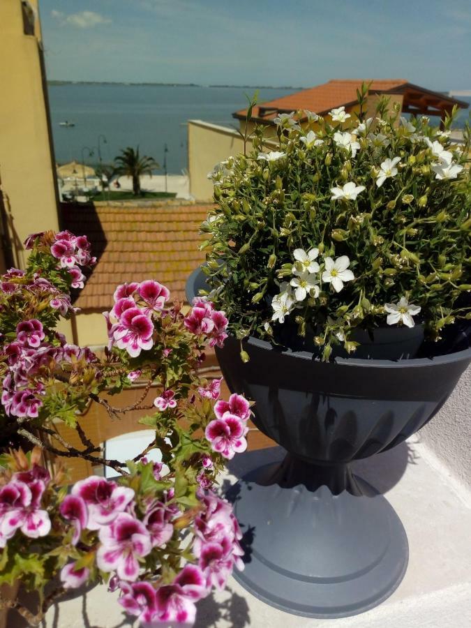 B&B La Felicita Lesina Εξωτερικό φωτογραφία
